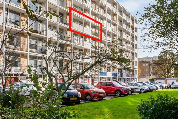 Louis Davidsstraat_331_20251027_07.jpg